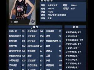 《NBA 2K13》游戏中姚明黑手臂解决方案探讨：专业分析与实用建议