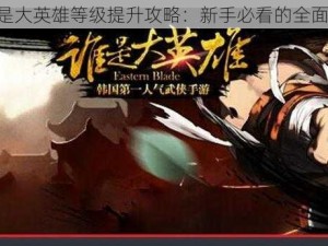 《谁是大英雄等级提升攻略：新手必看的全面解析》