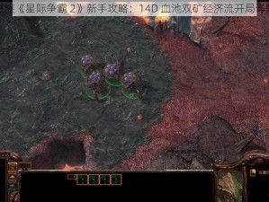 虫族《星际争霸 2》新手攻略：14D 血池双矿经济流开局详解