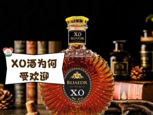 为什么我的 xo 总是显示不出来？如何解决 xo 显示异常的问题？