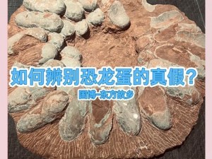 巨兽岛恐龙蛋;神秘巨兽岛惊现恐龙蛋，蛋中藏着怎样的远古秘密？