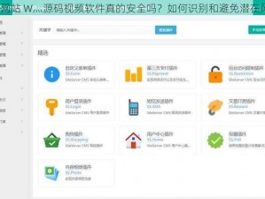成品网站 W灬源码视频软件真的安全吗？如何识别和避免潜在风险？