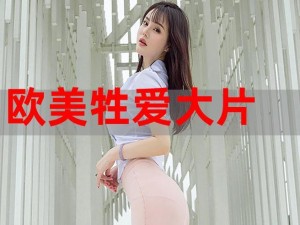 为什么欧美精品 VIDEOSEX 极品如此受欢迎？如何找到最适合自己的？怎样探索更多精彩内容？