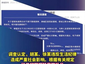 村干部不雅视频流出后续：他们将面临怎样的处罚？