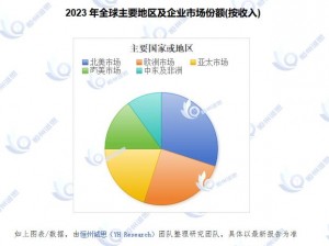 仙踪林 corporation 未来展望：如何应对市场竞争，实现持续增长？