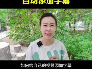 中文字幕在哪里？怎样才能找到？