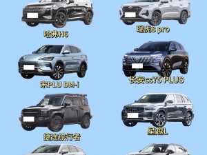 国产 SUV 精品一区二区 883，为何如此受欢迎？