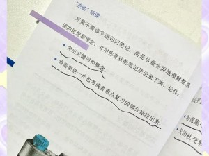 美国末日网战模式：生存金杯速刷攻略揭秘：高效策略与技巧指南