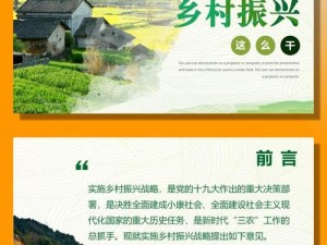 乡村的原因是什么？如何解决？