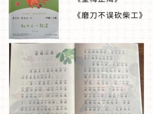 老枪不倒梅花先生免费阅读，为何如此神奇？