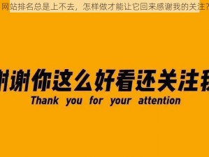 网站排名总是上不去，怎样做才能让它回来感谢我的关注？