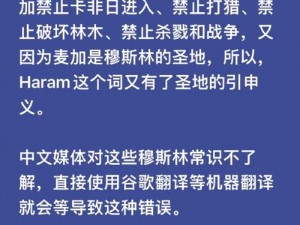 揭露汉化菜单翻译之耻：翻译失误背后的文化羞辱与不尊重现象探讨