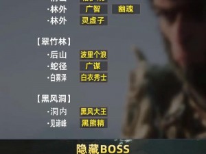 《暗黑血统2》废黜君王攻略全解析：掌握核心技巧，轻松战胜最终BOSS