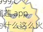 ll999.c 榴莲 app 为什么这么火？如何下载安装？