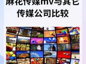 麻花传媒 MV 与其他传媒公司相比，有何优势和不同？