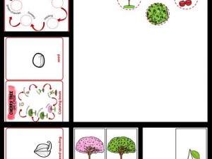 全民小镇：樱桃树图鉴，好吃的秘密大揭秘
