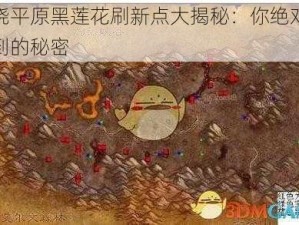 燃烧平原黑莲花刷新点大揭秘：你绝对想不到的秘密