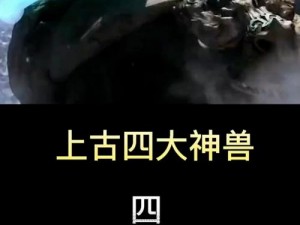 探究玄武：妖灵世界中的物理坦克还是法术坦克？