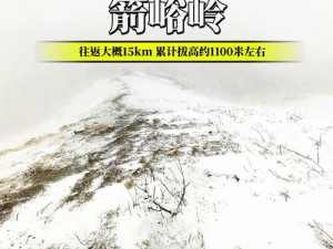 新手攻略指南：揭秘在服务器生存中建立自己的生存技能的进阶之旅