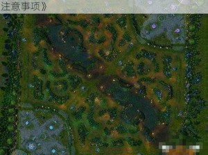 《LOL 召唤师峡谷新地图替换教程：详细步骤与注意事项》