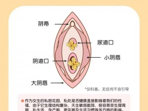 大胆顶级的秘密是什么？如何欣赏？