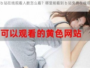 免费 b 站在线观看人数怎么看？哪里能看到 b 站免费在线观看人数？