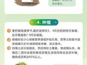 如何通过门牌号找到老农种树的地方