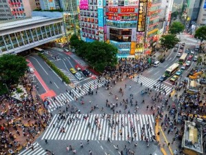 日本一道高清一区二区有哪些特色？