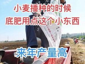 麦子邀请的客人是谁？为何它能吸引如此多的关注？