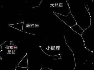 如何在实事信息中快速收集老农种树星座的星星：攻略详解