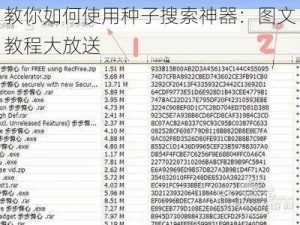 教你如何使用种子搜索神器：图文教程大放送