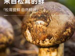 国精产品蘑菇一区一区有限【如何评价国精产品蘑菇一区一区有限？】