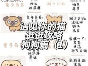 如何快速打造一个温暖的家？遇见你的猫老玩家这样说