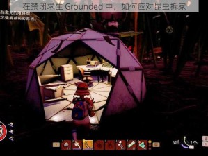 在禁闭求生 Grounded 中，如何应对昆虫拆家