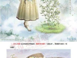 奇迹暖暖芒山采雾套装图片抢先看