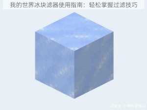 我的世界冰块滤器使用指南：轻松掌握过滤技巧