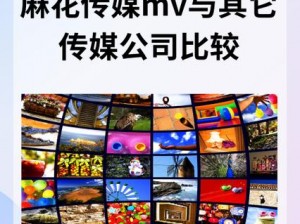 麻花传媒 MV 一二三有何区别？怎样区分麻花传媒 MV 一二三？为何麻花传媒 MV 一二三有区别？