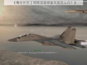 《鹰击长空 2 网络连接修复失败怎么办？》