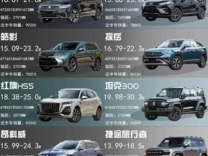 国产suv精品一区_国产 SUV 精品一区有哪些值得推荐的车型？