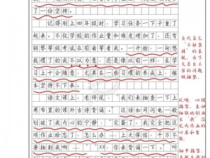 我才上六年级，为什么作文就 C 过了？