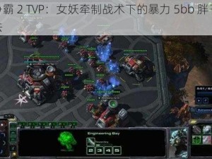 星际争霸 2 TVP：女妖牵制战术下的暴力 5bb 胖子平 A 流打法