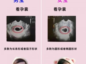 男女为何要那样生孩子？探究背后的原因及解决方案