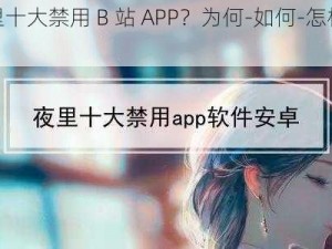 夜里十大禁用 B 站 APP？为何-如何-怎样做到？