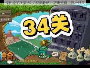 保护橙子 3 第 34 关视频攻略：巧用道具，轻松过关