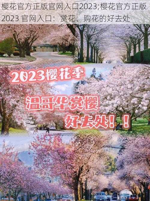 樱花官方正版官网入口2023;樱花官方正版 2023 官网入口：赏花、购花的好去处