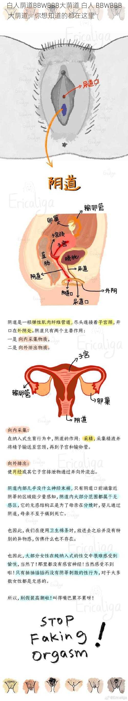 白人荫道BBWBBB大荫道 白人 BBWBBB 大荫道，你想知道的都在这里