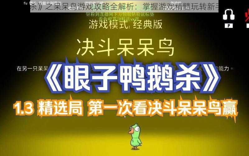 《鹅鸭杀》之呆呆鸟游戏攻略全解析：掌握游戏精髓玩转新手攻略区