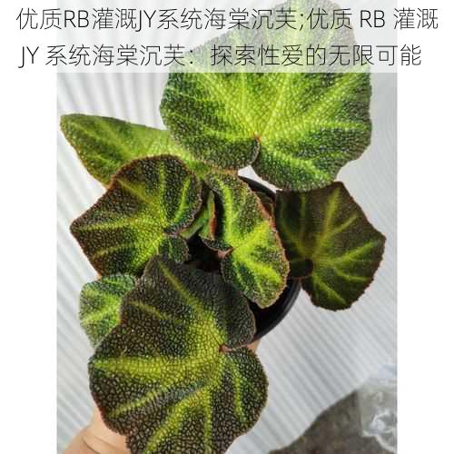 优质RB灌溉JY系统海棠沉芙;优质 RB 灌溉 JY 系统海棠沉芙：探索性爱的无限可能