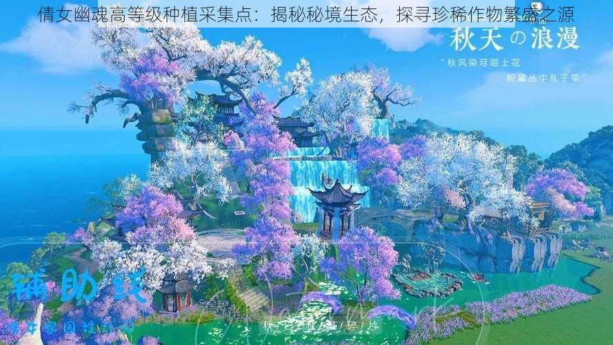 倩女幽魂高等级种植采集点：揭秘秘境生态，探寻珍稀作物繁盛之源