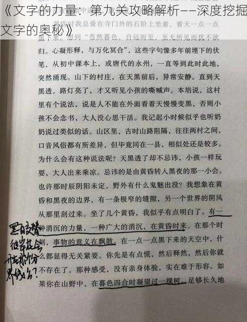 《文字的力量：第九关攻略解析——深度挖掘文字的奥秘》